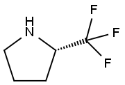 (5S)-5-三氟甲基-2-吡咯酮